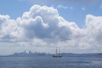 Erster Blick auf San Francisco