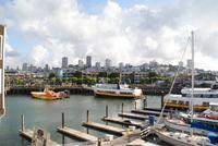 Fischerman's Wharf San Francisco Pier 39