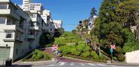 Stadtrundfahrt durch San Francisco - Lobard Street