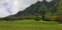 Oahu Rundfahrt - Kuala Ranch