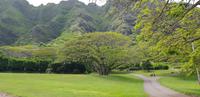 Oahu Rundfahrt - Kuala Ranch