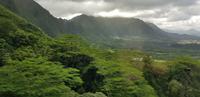 Oahu Rundfahrt - Pali Lookout