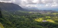 Oahu Rundfahrt - Pali Lookout