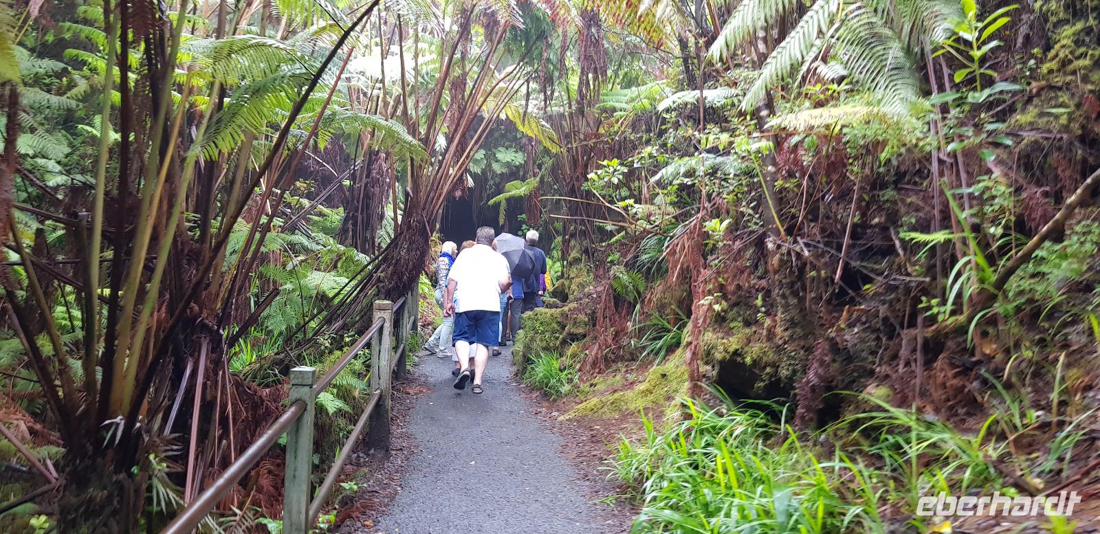 Inselrundfahrt - Lava Thurston Tube