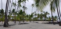 Big Island - Pu'uhonua Honaunau - Zuflucht und Begegnungsstätte