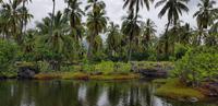 Big Island - Pu'uhonua Honaunau - Zuflucht und Begegnungsstätte
