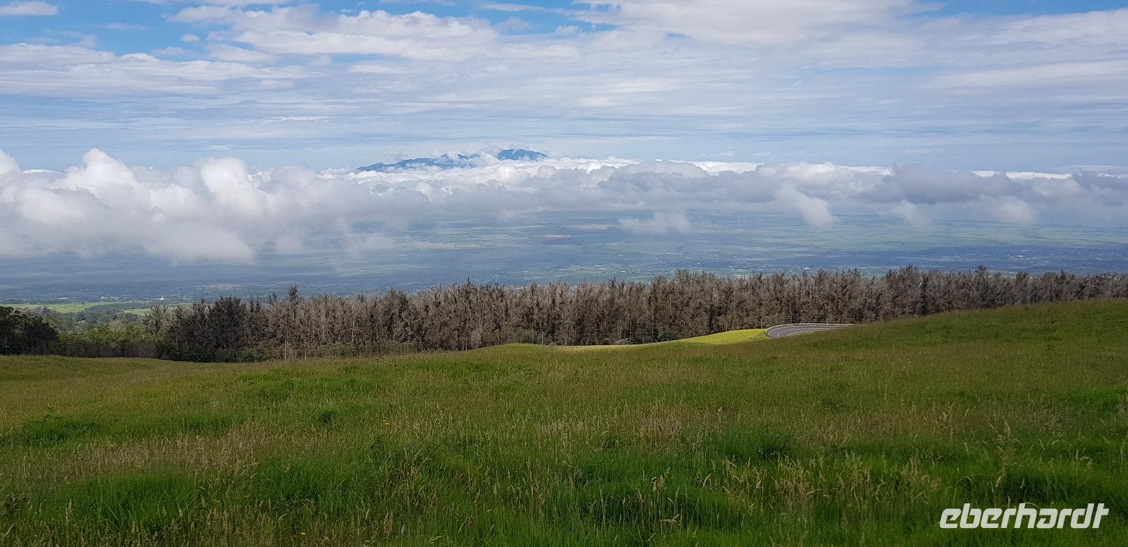 Maui - Inselrundfahrt