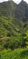 Maui - Inselrundfahrt - Iao Tal
