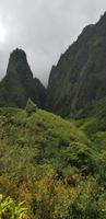 Maui - Inselrundfahrt - Iao Tal