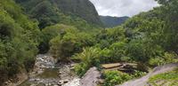 Maui - Inselrundfahrt - Iao Tal