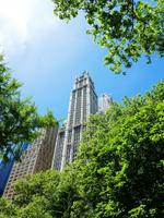 Woolworth Building
