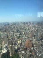 Blick vom One Trade Center