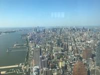 Blick vom One Trade Center