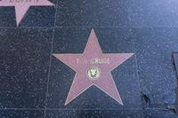 15_Stern auf den Walk of Fame