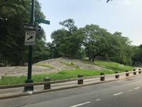 Rikscha-Fahrt durch den Central Park