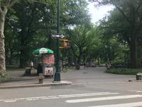 Rikscha-Fahrt durch den Central Park