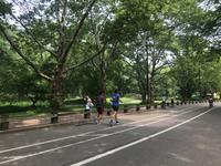 Rikscha-Fahrt durch den Central Park