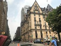 Rikscha-Fahrt durch den Central Park