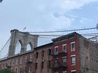 Brooklyn Bridge Park