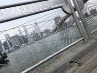 Brooklyn Bridge Park