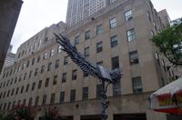 New York Rockefeller