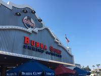 Santa Monica Pier (9)