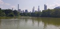 Central Park - New York City