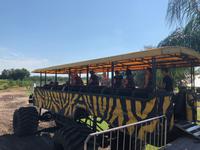 Clermont - Showcase of Citrus