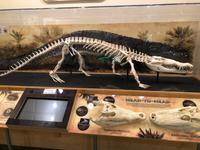 Sanibel Island - Ding Darling Visitor and Education Center