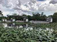 Everglades Safari Park