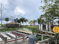 Everglades - Propellerboot