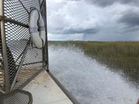 Everglades - Fahrt mit dem Propellerboot