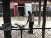 Everglades Safari Park