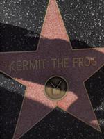 21_Stadtrundfahrt L.A. - Walk of Fame