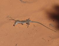 67_Arches Nationalpark