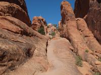 86_Arches Nationalpark