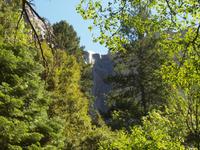 115_Yosemite Nationalpark - Brautschleier Wasserfall