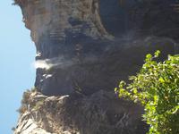 116_Yosemite Nationalpark - Brautschleier Wasserfall