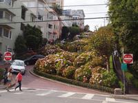 136_San Francisco - Lombard Street