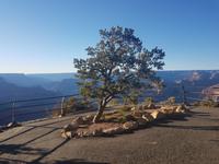 18. Impressionen vom Grand Canyon, der größten Schlucht der Erde (12)