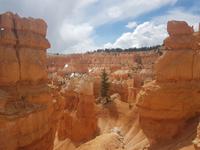 23. Der Bryce Canyon National Park (10)