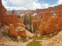 23. Der Bryce Canyon National Park (11)