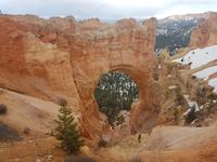 23. Der Bryce Canyon National Park (22)