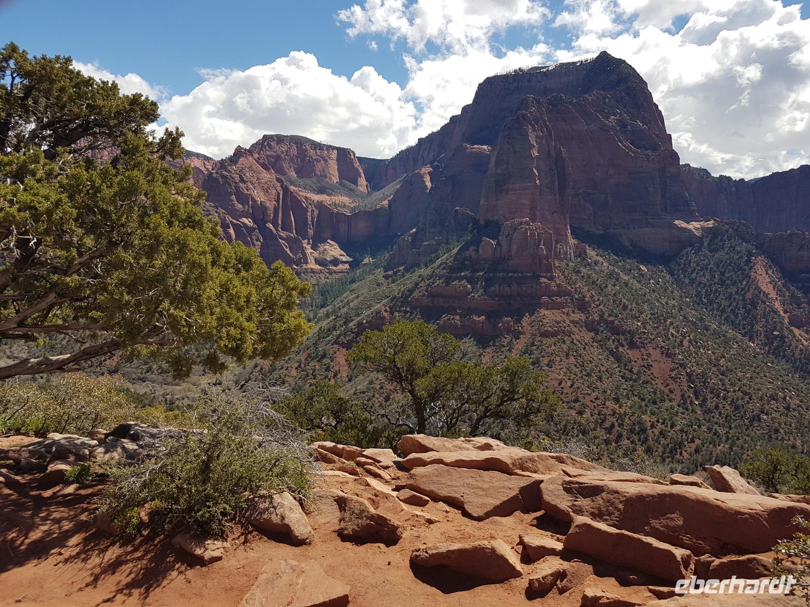 24. Der Kolob Canyon im Zion National Park (3)