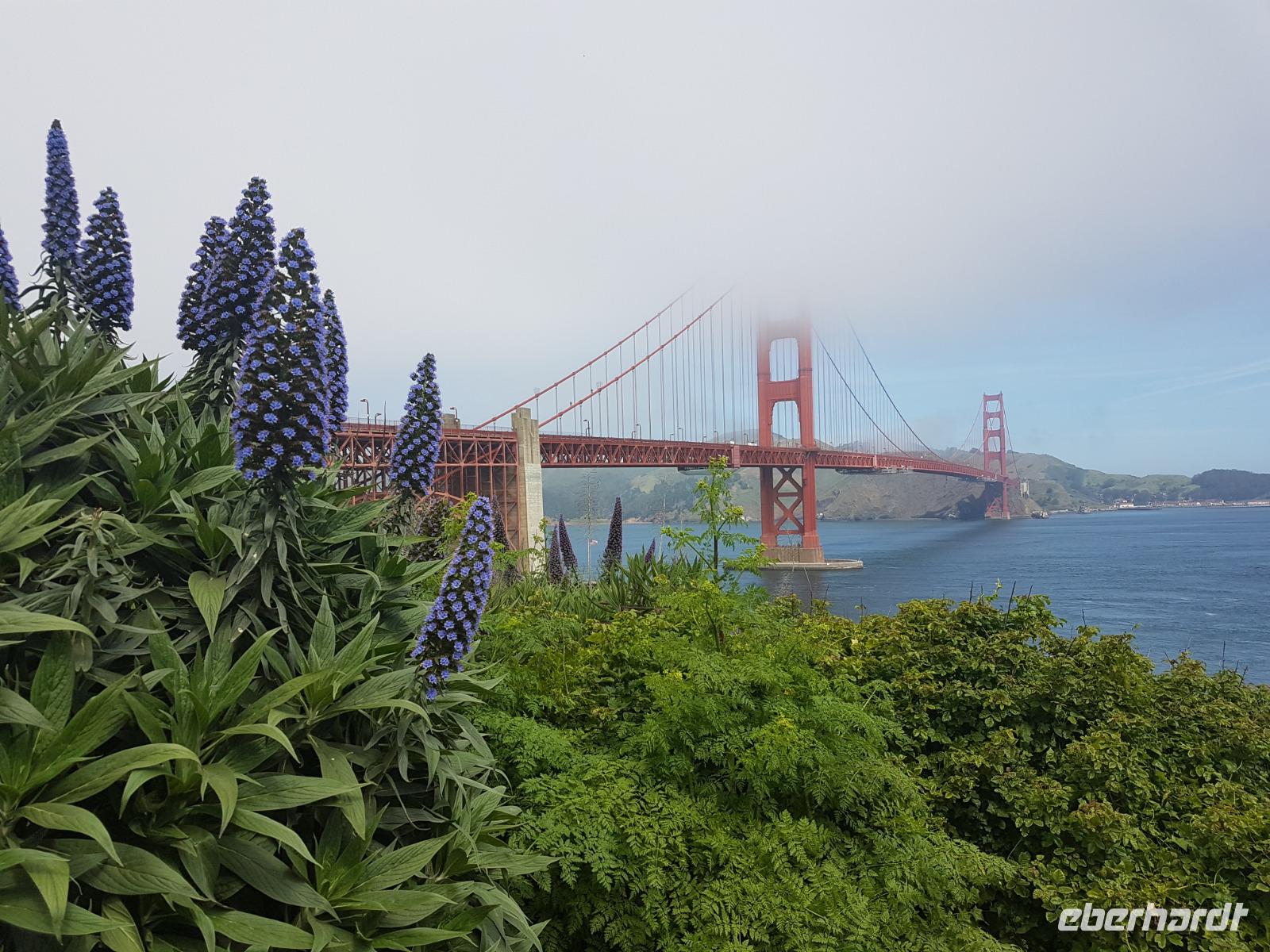 35. Die Golden Gate Bridge (6)