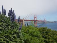 35. Die Golden Gate Bridge (6)