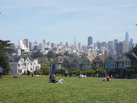 36. Die Painted Ladies in San Francisco (1)