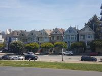 36. Die Painted Ladies in San Francisco (2)