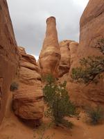21. Der Arches National Park (8)