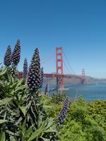 Golden Gate Bridge, San Francisco